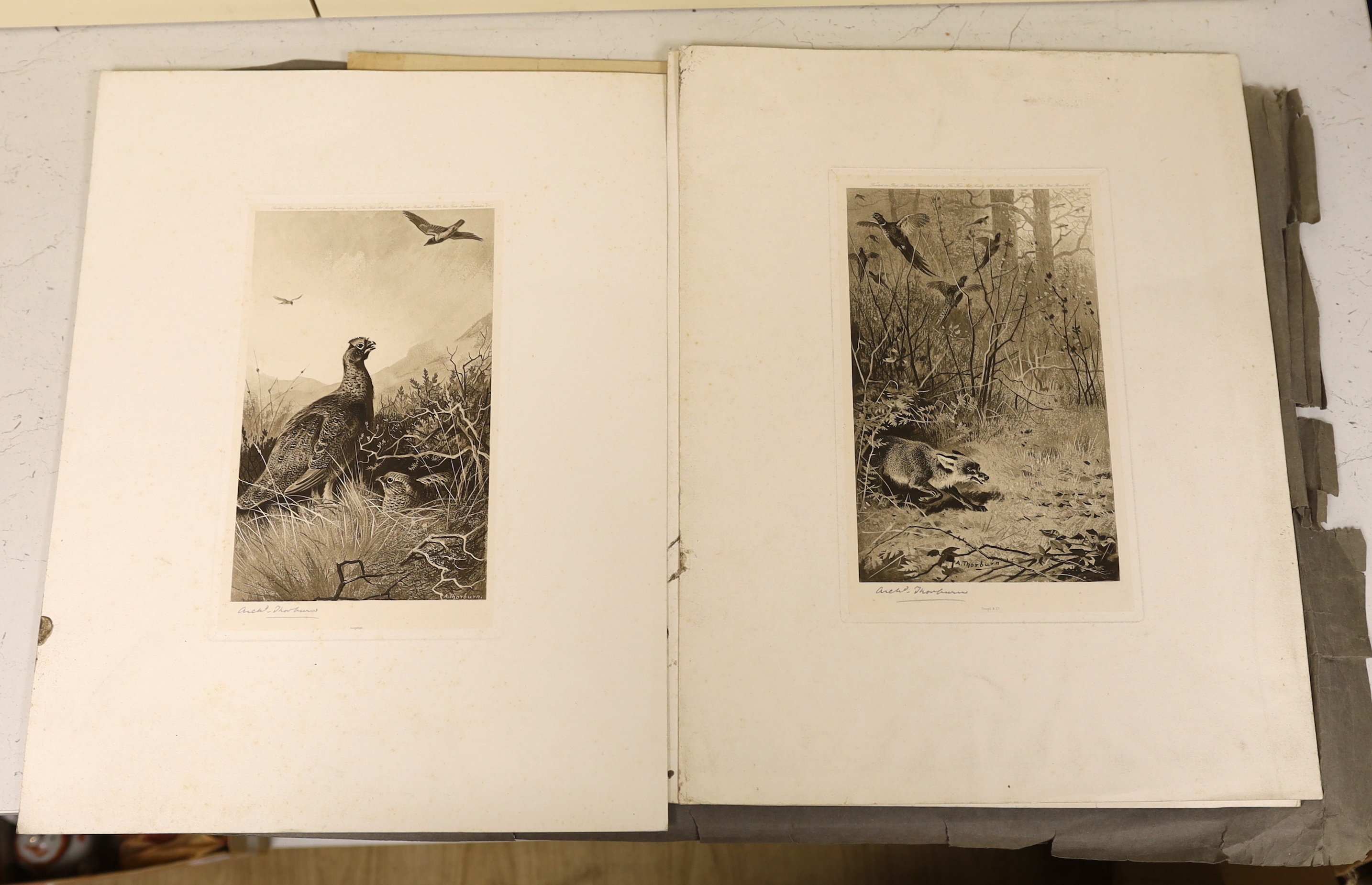 Seven 18th century and later engravings and prints, including after Van Drever, Winter, after Peter Pieter Nolpe, Hiems, after S. Howitt, shooting game, published 1st February 1805 and three pencil signed Archibald Thorb